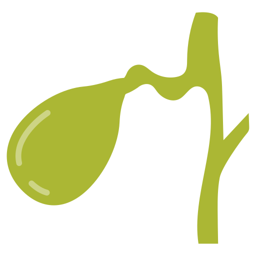 Gall Bladder Photo