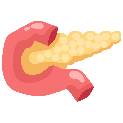 Pancreas Photo
