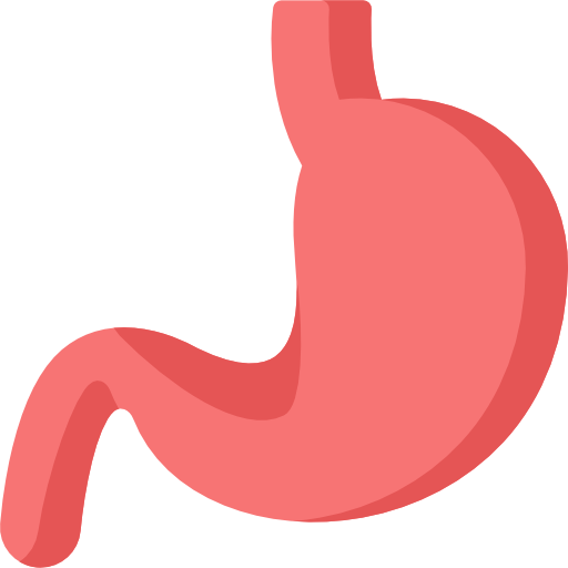 Stomach Photo