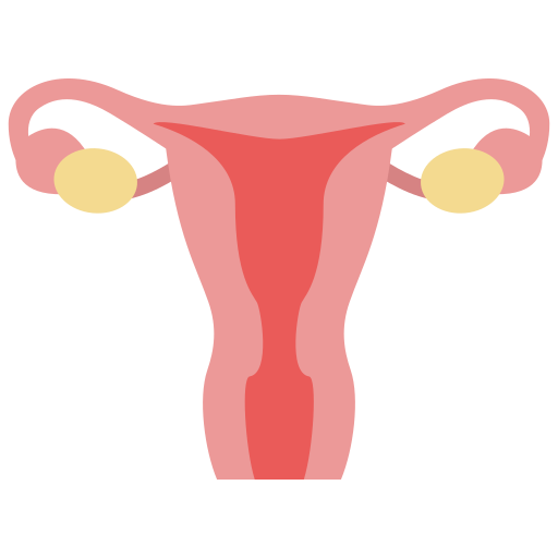 Robotic Gynecologic Cancer Surgery
