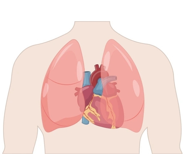 Thoracic Cancer