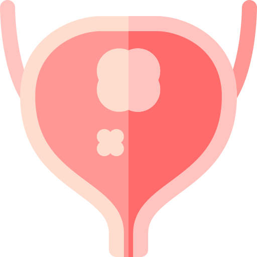 Neo Bladder