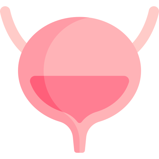 Bladder Cancer
