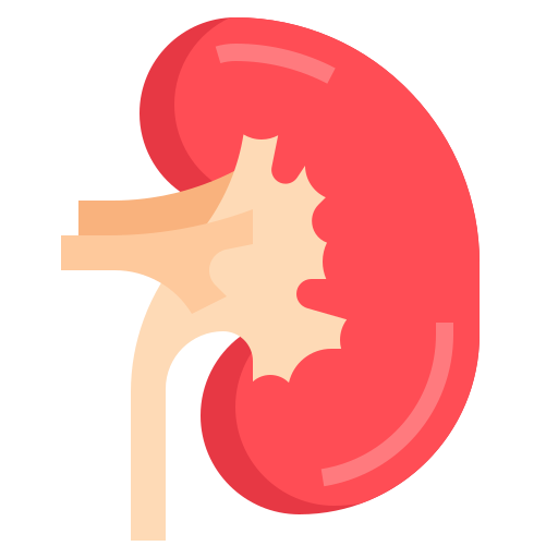 Radical Nephrectomy