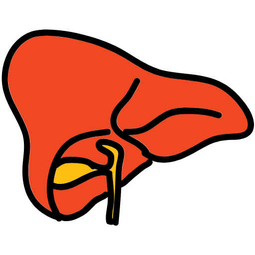 Hepatectomy