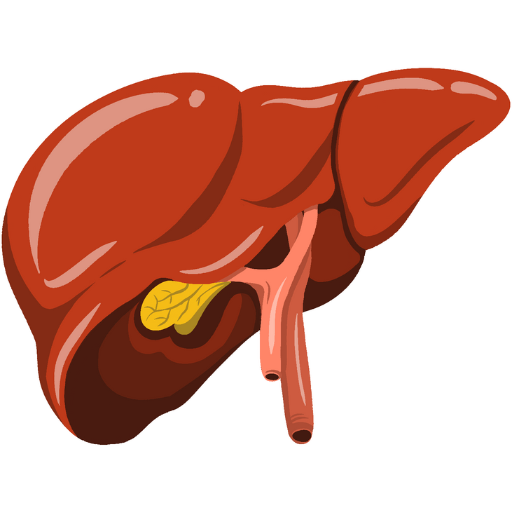 Laparoscopic Liver Surgery