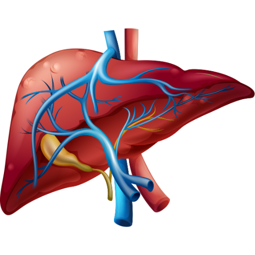 Robotic Liver Surgery