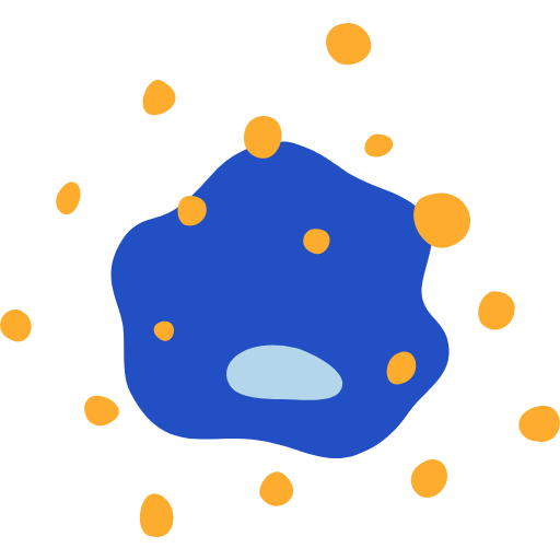 Radical Cholecystectomy
