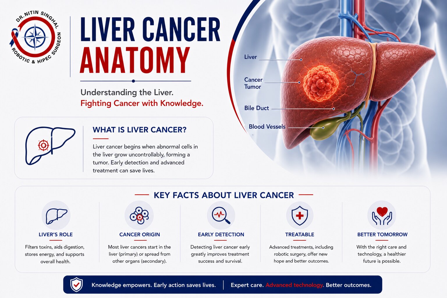 Liver anatomy — robotic liver cancer surgery, Dr. Nitin Singhal, Ahmedabad